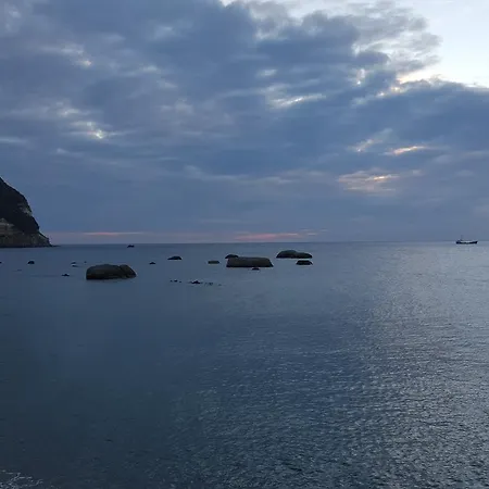 La Citarea * Forio (Isola d'Ischia)