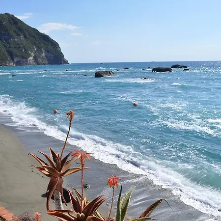 La Citarea Forio (Isola d'Ischia)